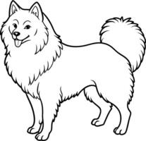 Hand Zeichnung Hund Linie Kunst, samoyed Rasse vektor