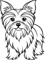 Handzeichnung Hund Linie Kunst, Yorkshire Terrier Rasse vektor