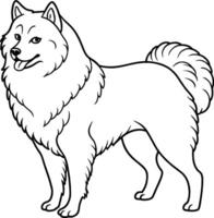 Hand Zeichnung Hund Linie Kunst, samoyed Rasse vektor