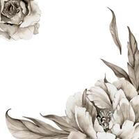 Hand gezeichnet Aquarell Grisaille einfarbig Pfingstrose Tulpe Rose Blumen, Knospen und Blätter. Rand Rahmen isoliert auf Weiß Hintergrund. Einladungen, Hochzeit oder Gruß Karten, Blumen- Geschäft, drucken, Textil- vektor