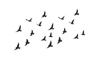 flygande fåglar design. vektor