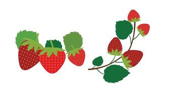 Erdbeere Illustration Sammlung vektor