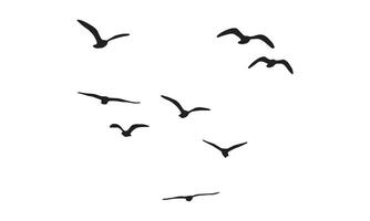 flygande fåglar design. vektor