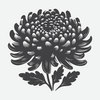 elegant krysantemum blomma silhuett, en tidlös blommig konst vektor