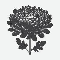 elegant Chrysantheme Blume Silhouette, ein zeitlos Blumen- Kunst vektor