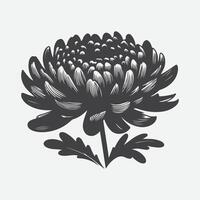 elegant krysantemum blomma silhuett, en tidlös blommig konst vektor