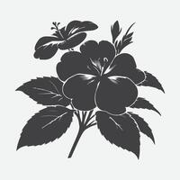 elegant Silhouette von Impatiens Blumen, ein zeitlos botanisch Kunst vektor