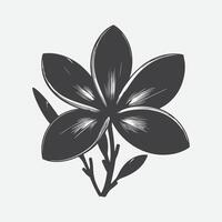 fesselnd Plumeria Blume Silhouette, ein perfekt Mischung von Eleganz und Einfachheit vektor