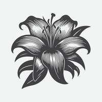 skriva ut elegant lilja blomma silhuett, tidlös skönhet i svart och vit vektor