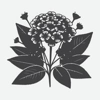 drucken zauberhaft Lantana Blume Silhouette, ein visuell Symphonie von der Natur Eleganz vektor