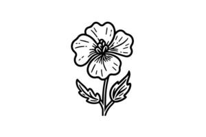 hand dragen bläck skiss av äng vild blomma. graverat stil illustration. vektor