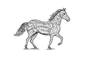 Jahrgang Pferd skizzieren handgemalt Illustration von Bauernhof Tier. Logo Symbol. vektor
