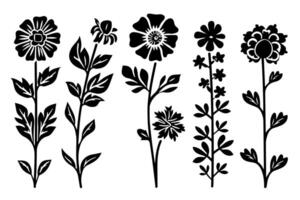 handgemalt Grunge Blumen- einstellen abstrakt schwarz Bürste Silhouetten mit einfach Tinte blüht. vektor