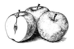 Apfel Obst Hand gezeichnet Tinte skizzieren. graviert Stil Illustration. vektor