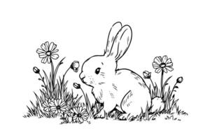 Jahrgang Ostern Hase und Blumen- Illustration graviert Hase im ein Frühling Garten. vektor