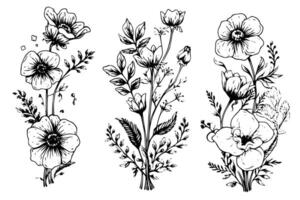 hand dragen bläck skiss av äng vild blomma uppsättning. graverat stil illustration. vektor