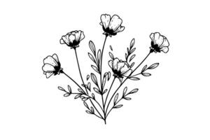 hand dragen bläck skiss av äng vild blomma. graverat stil illustration. vektor