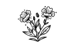 hand dragen bläck skiss av äng vild blomma. graverat stil illustration. vektor