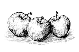 Apfel Obst Hand gezeichnet Tinte skizzieren. graviert Stil Illustration. vektor