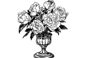 Jahrgang Hortensie skizzieren handgemalt Blumen- Illustration mit botanisch Pfingstrose im Vase. vektor