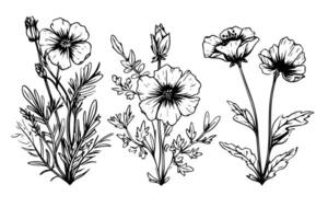 wild Blume einstellen Hand gezeichnet Tinte skizzieren. graviert retro Stil Illustration Pack. vektor
