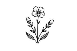 hand dragen bläck skiss av äng vild blomma. graverat stil illustration. vektor