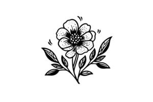 Hand gezeichnet Tinte skizzieren von Wiese wild Blume. graviert Stil Illustration. vektor