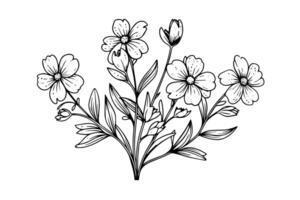 Hand gezeichnet Tinte skizzieren von Wiese wild Blume. graviert Stil Illustration. vektor