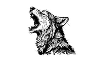 wütend Wolf Kopf Hand gezeichnet Tinte skizzieren. Gravur Jahrgang Stil Illustration. Design zum Logo, Maskottchen, drucken. vektor