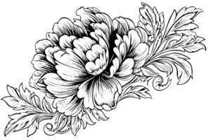 Jahrgang Blumen- Sammlung handgemalt Rosen, Barock Ornamente, und Pfingstrose Blüten im schwarz und Weiss, retro Illustration. vektor