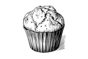 Cupcake Hand gezeichnet Tinte skizzieren. graviert Stil retro Illustration. vektor