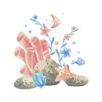 Meer Korallen, Algen, Muscheln, Seestern, Fisch, Blasen. Aquarell Illustration Hand gezeichnet im Koralle, Türkis und Blau Farben. Komposition isoliert von das Hintergrund vektor