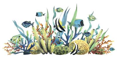 hell Riff Fisch mit Korallen, Meer Schwämme und Algen. Aquarell Illustration. Komposition von das Sammlung tropisch Fische. zum Dekoration und Design von Sommer- und Strand Drucke, Aufkleber vektor