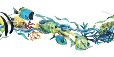 verschieden, hell Fisch mit Algen, Korallen, Meer Schwämme. Aquarell Illustration. nahtlos Rand von das Sammlung von tropisch Fisch. zum Dekoration und Design von Hintergrund, Einladungen, Plakate vektor