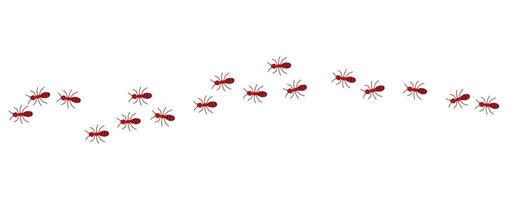 rot Ameisen Linie auf ein Weiß Hintergrund, Illustration. vektor