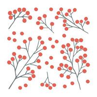 Hand gezeichnet Ast von Beeren zum Winter und Herbst Dekoration. Gekritzel Illustration. vektor