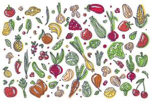 einstellen von Kritzeleien im Farbe Gemüse und Früchte auf ein Weiß Hintergrund. Grafik von gesund Lebensmittel. Gemüse und Früchte im Gekritzel Stil, skizzieren. Illustration zum Essen Design. vegan Produkte vektor