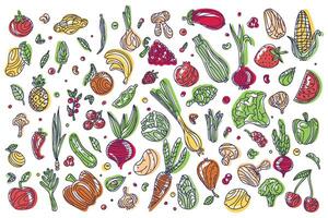 uppsättning av klotter i Färg grönsaker och frukt på en vit bakgrund. grafik av friska mat. grönsaker och frukt i klotter stil, skiss. illustration för mat design. vegan Produkter vektor