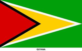 Flagge von Guyana , Guyana National Flagge vektor