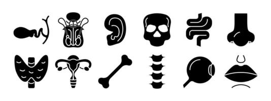 mänsklig anatomi uppsättning ikon. gallblåsan, reproduktiv organ, öra, skalle, inälvor, näsa, sköldkörteln, livmoder, ben, ryggrad, öga, mun. medicin, biologi. vektor