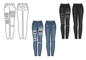uppsättning av kvinnors jeans. illustration. vektor