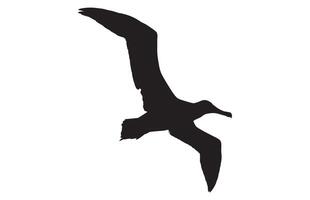 silhuetter av fågel albatross, albatross fågel silhuett illustration vektor