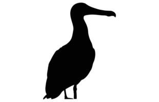 Albatros Silhouette, Albatros Silhouette schwarz Illustration vektor