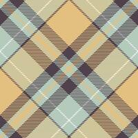 schottisch Tartan Muster. Gingham Muster traditionell schottisch gewebte Stoff. Holzfäller Hemd Flanell Textil. Muster Fliese Swatch inbegriffen. vektor