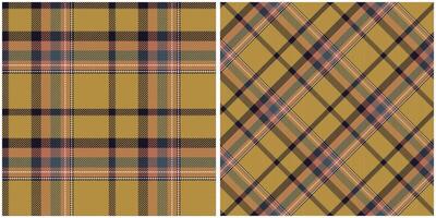 Tartan Plaid Muster nahtlos. traditionell schottisch kariert Hintergrund. traditionell schottisch gewebte Stoff. Holzfäller Hemd Flanell Textil. Muster Fliese Swatch inbegriffen. vektor