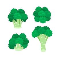 broccoli kål ikon uppsättning på vit bakgrund. stjälk som friska vektor