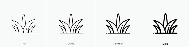 gräs ikon. tunn, ljus, regelbunden och djärv stil design isolerat på vit bakgrund vektor
