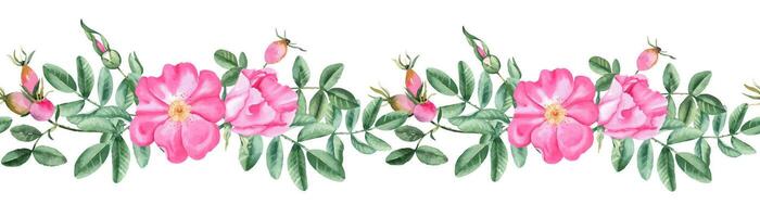 Hund Rose horizontal Aquarell nahtlos Rand Muster. Hand gezeichnet botanisch Illustration. Rose Hüfte Blumen, Geäst und Beeren. können Sein benutzt zum Stoff, Textil, Verpackung Drucke, Hintergrund Design. vektor