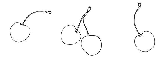Kirsche Zeichnung Satz. isoliert Hand gezeichnet Beere auf Weiß Hintergrund. Sommer- Frucht. bündeln mit Gliederung Zeichnung. skizzieren im Linie Kunst Stil gemalt durch schwarz Tinten. vektor