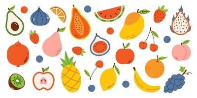 Obst einstellen im eben Design. Karikatur Früchte und Beeren Elemente. Sammlung von Natur Sommer- Lebensmittel. exotisch und tropisch Früchte. Drachen Frucht, Granatapfel, Avocado, Mango, Papaya, Wassermelone. vektor